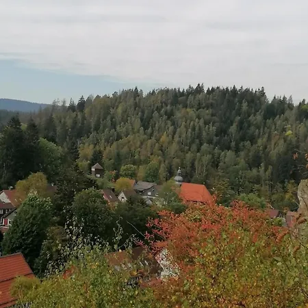 Διαμέρισμα Gemuetliche Ferienwohnung In Altenau *