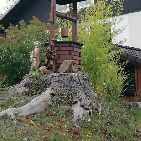 Διαμέρισμα Gemuetliche Ferienwohnung In Altenau Altenau (Lower-Saxony)