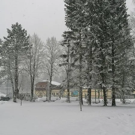 Gemuetliche Ferienwohnung In Altenau Altenau (Lower-Saxony)
