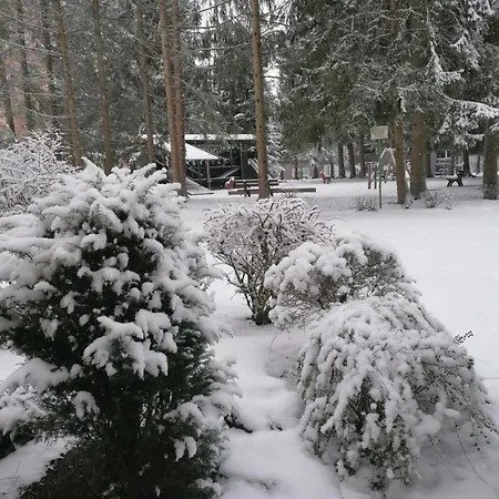 Gemuetliche Ferienwohnung In Altenau Altenau (Lower-Saxony)